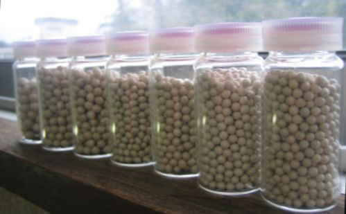 渡辺農事株式会社 / 野菜種子の生産と販売