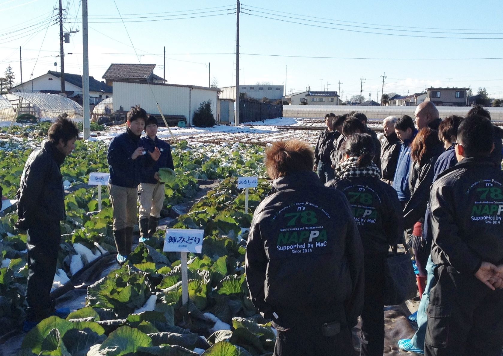 渡辺農事株式会社 / 野菜種子の生産と販売