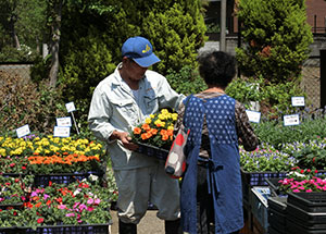 2019園芸センター