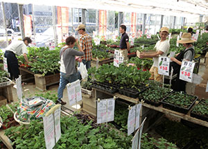 2019園芸センター