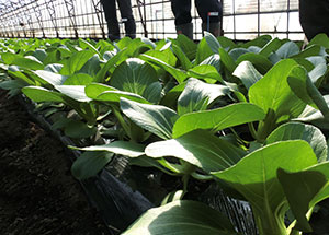 2019園芸センター