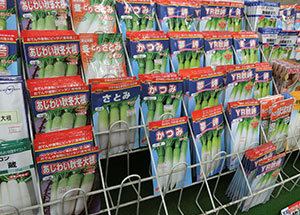 2019園芸センター