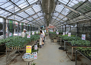 2019園芸センター