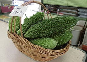 2019園芸センター