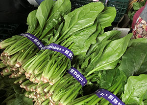 2019園芸センター