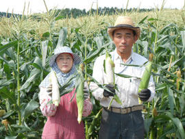 ロイシーコーン