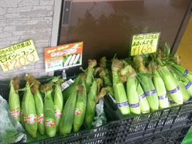 ロイシーコーン