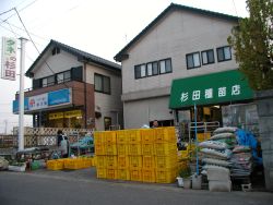 杉田種苗店