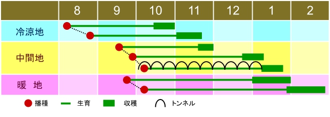 栽培の目安表