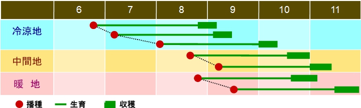 栽培の目安表