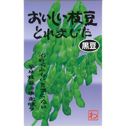 おいしい枝豆とれました(黒豆)