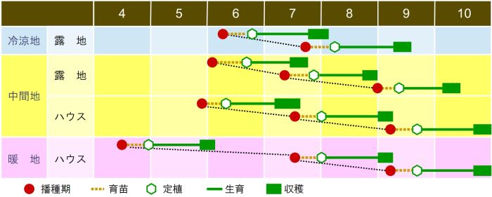 栽培の目安表