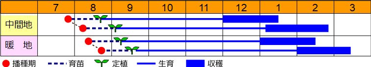 栽培の目安表
